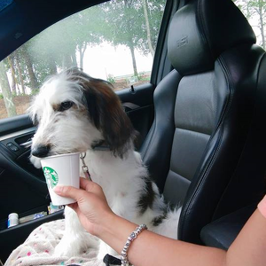 Team Page: Harley's Team